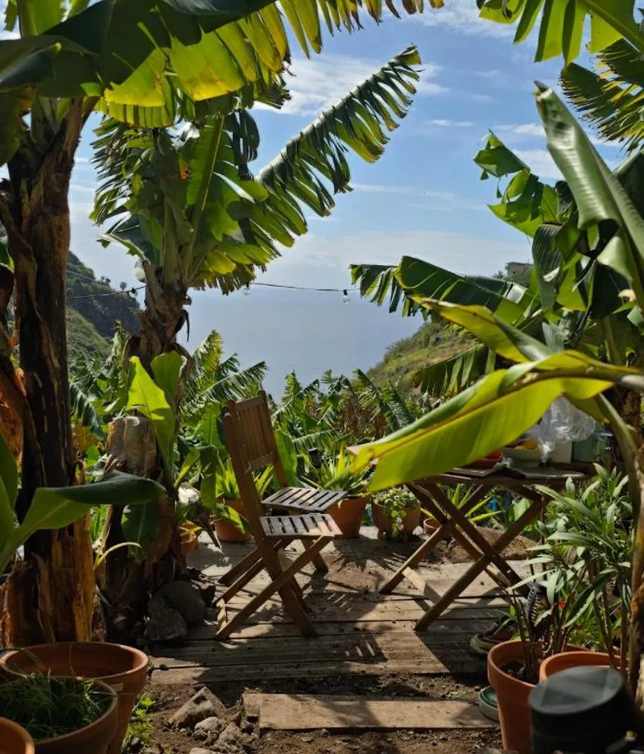 Romantic Glamping Bell Tent With Private Unique Bathroom Ponta do Sol  Ponta do Sol (Madeira)